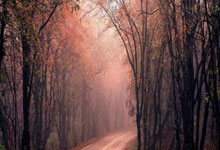 石家庄 私人借款 空放 15832103778借款 私借 急用钱 个人借款 小额贷款 无抵押 当天下款